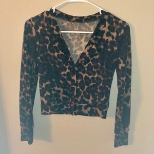 Cropped Leopard Print Sweater